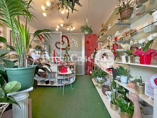 negozio in vendita a Lucca in zona Fagnano