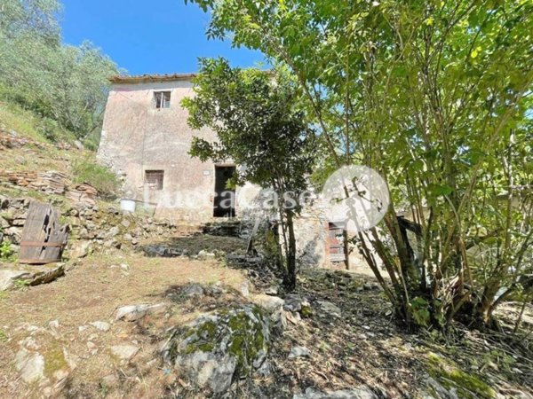 casa indipendente in vendita a Lucca in zona Santa Maria del Giudice