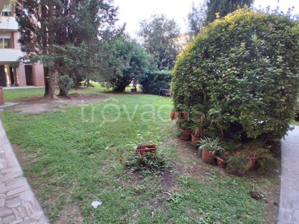 appartamento in vendita a Lucca in zona zona Arancio