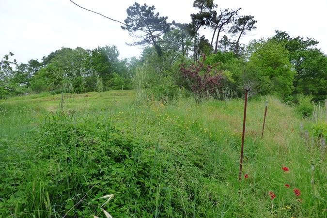 casa indipendente in vendita a Lucca in zona Ponte San Pietro