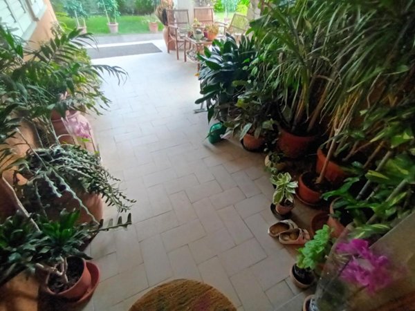 casa indipendente in vendita a Lucca in zona Sant'Anna