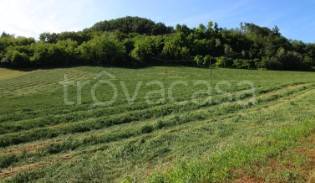 terreno agricolo in vendita a Lucca in zona zona San Filippo