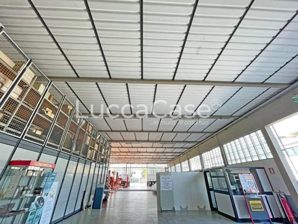 capannone in vendita a Lucca in zona zona Antraccoli