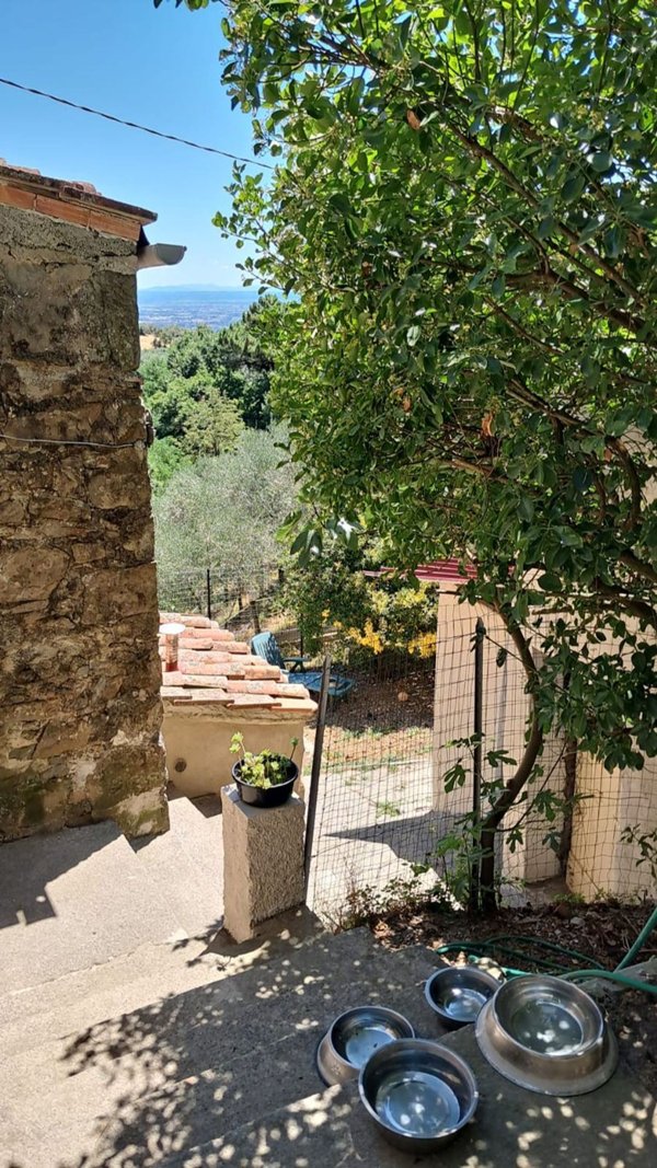 pentavano in vendita a Lucca in zona Ponte a Moriano