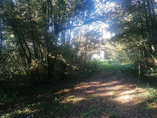 appartamento in vendita a Lucca in zona Montuolo