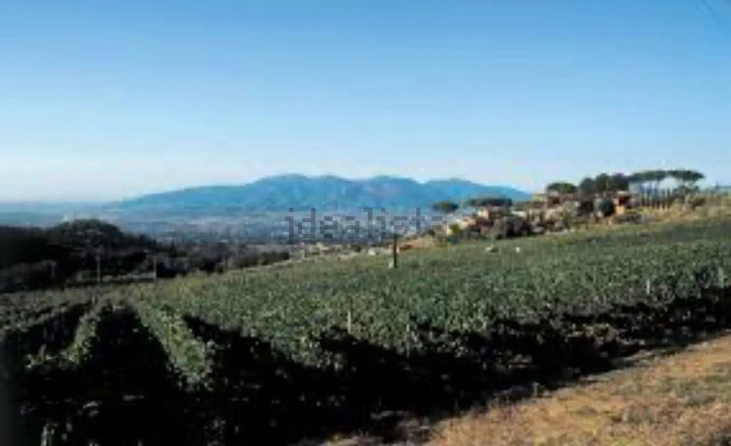 esavano in vendita a Lucca in zona Massa Pisana