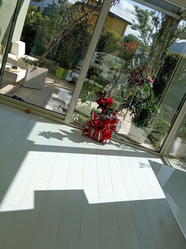 appartamento in vendita a Lucca in zona Sant'Anna