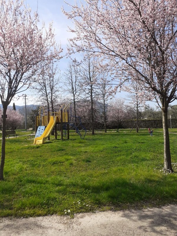 appartamento in vendita a Lucca in zona Zona San Concordio