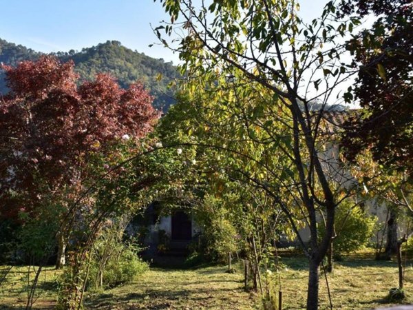 casa indipendente in vendita a Lucca in zona Centro Città
