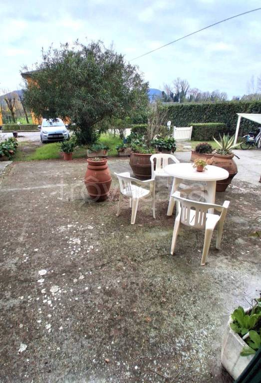 casa indipendente in vendita a Lucca in zona Ponte San Pietro