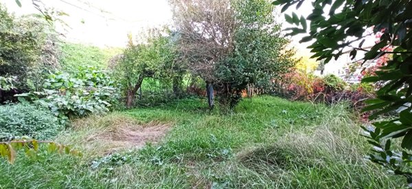 casa indipendente in vendita a Lucca in zona Zona San Concordio