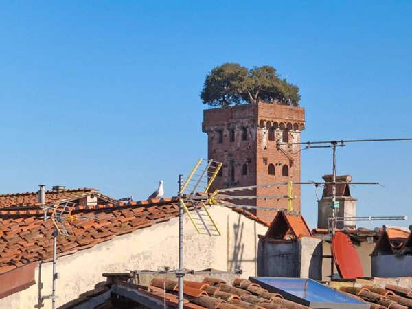 appartamento in vendita a Lucca in zona Torre