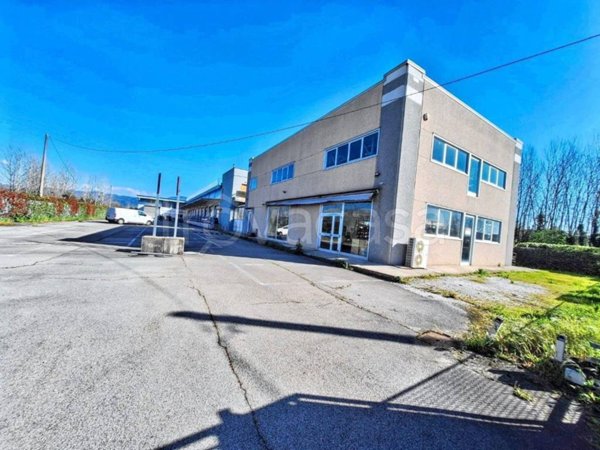 capannone in vendita a Lucca in zona zona Antraccoli