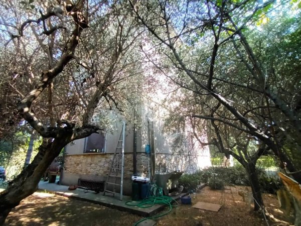 casa indipendente in vendita a Lucca in zona San Pietro a Vico