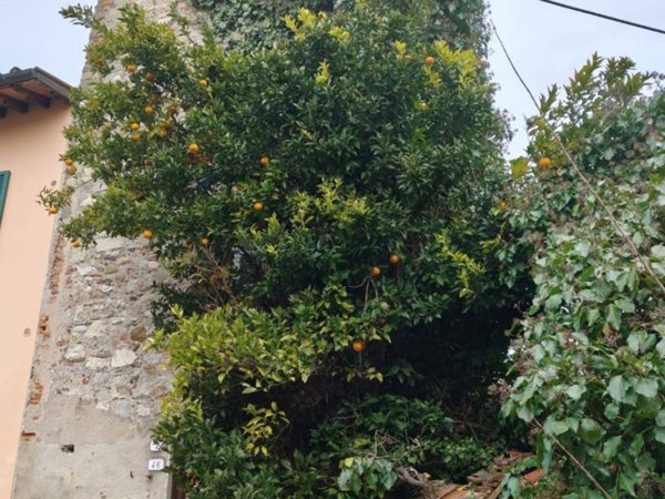 casa indipendente in vendita a Lucca in zona Ponte a Moriano