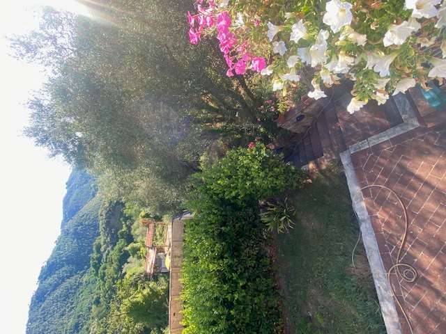 appartamento in vendita a Lucca in zona Piazzano