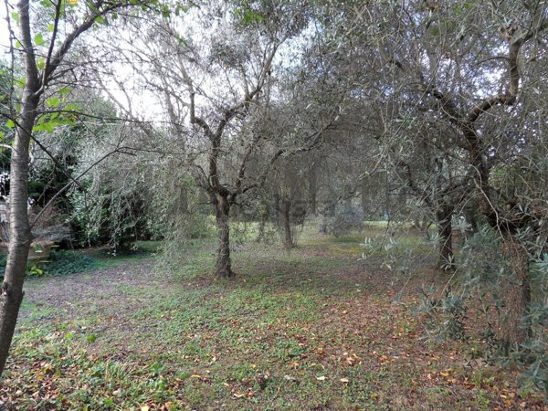 casa indipendente in vendita a Lucca in zona Maggiano