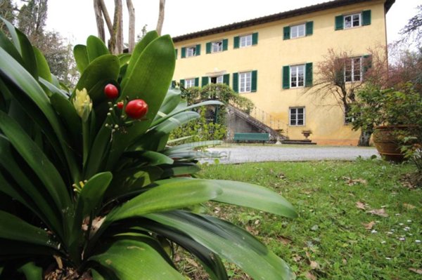 casa indipendente in vendita a Lucca in zona Centro Città