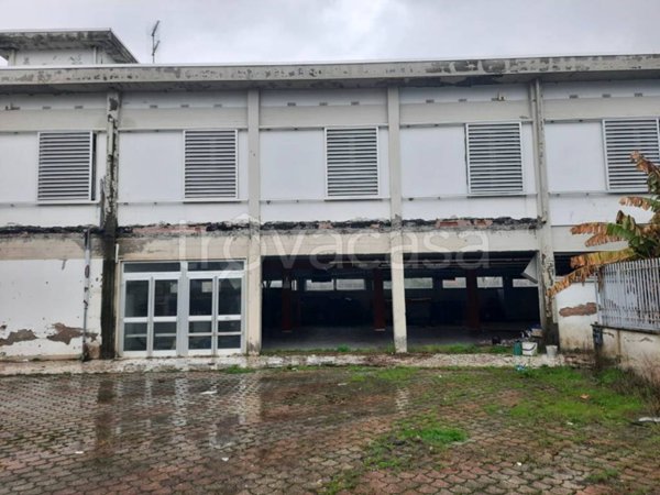 negozio in vendita a Lucca in zona Zona San Concordio