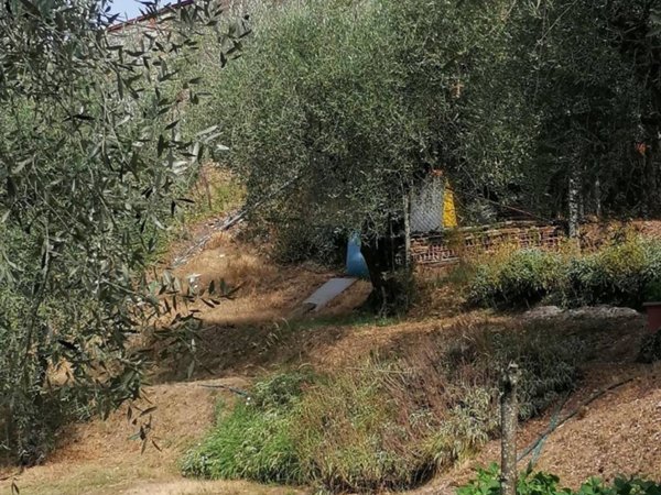 casa indipendente in vendita a Lucca in zona Chiatri