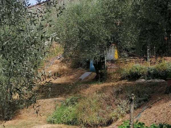 intera palazzina in vendita a Lucca in zona Piazzano