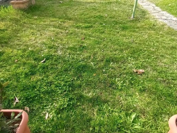 appartamento in vendita a Lucca in zona Nave