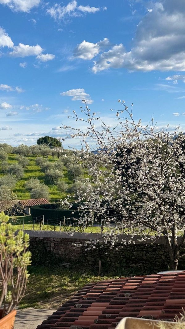 casa indipendente in vendita a Lucca in zona Ponte a Moriano