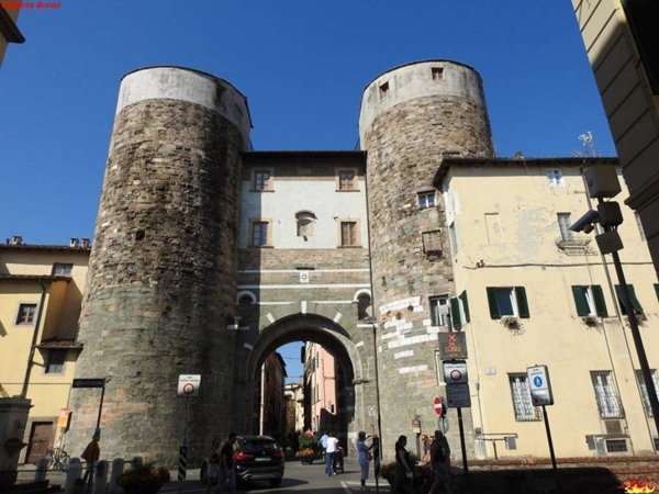 negozio in vendita a Lucca in zona Torre