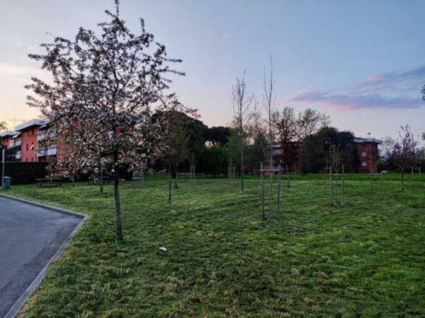 casa indipendente in vendita a Lucca in zona Pontetetto