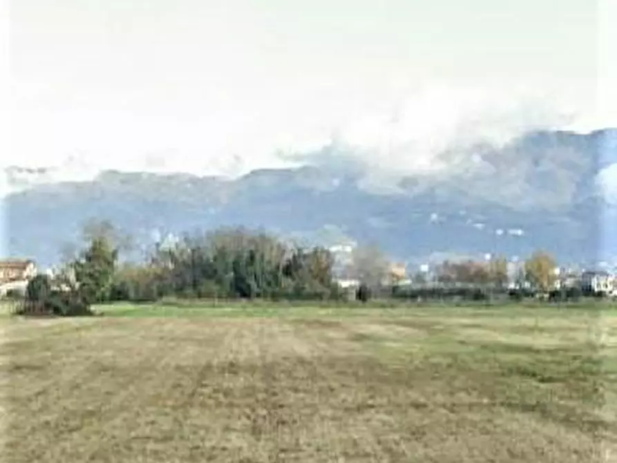 terreno agricolo in vendita a Lucca