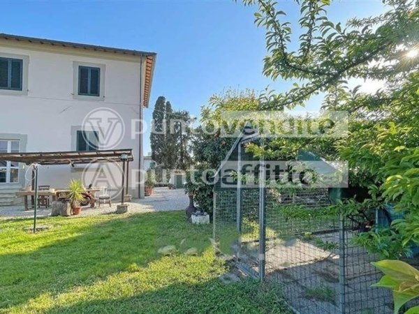 casa indipendente in vendita a Lucca in zona San Pietro a Vico