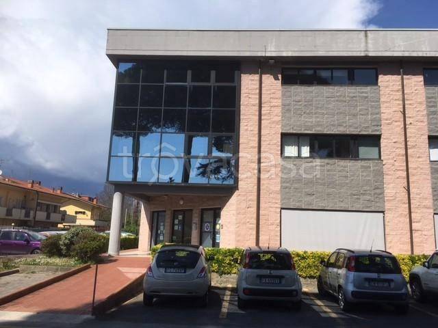 negozio in vendita a Lucca in zona Sant'Anna