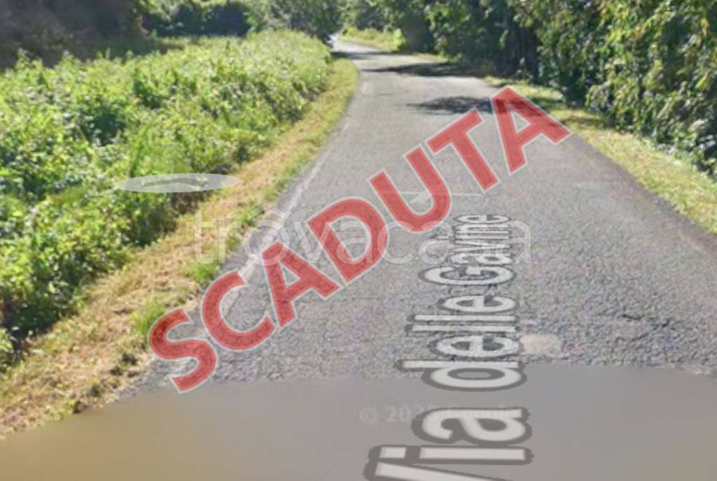 terreno agricolo in vendita a Lucca