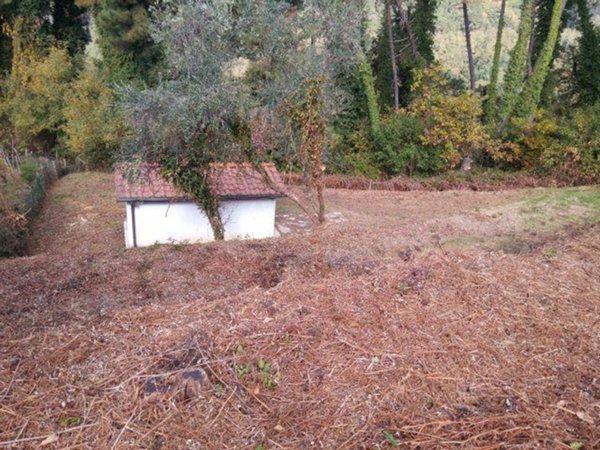appartamento in vendita a Lucca in zona Chiatri