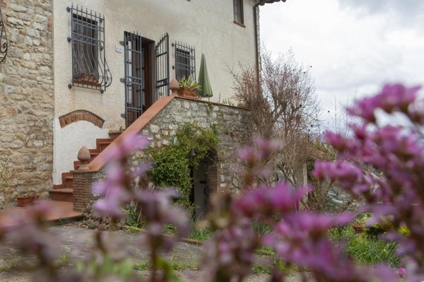 casa indipendente in vendita a Lucca in zona Farneta