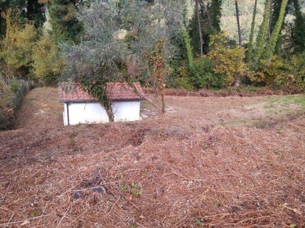 terreno agricolo in vendita a Lucca in zona Chiatri