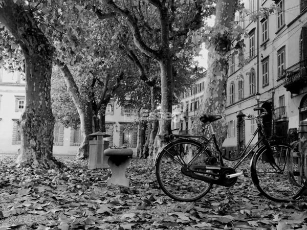 appartamento in vendita a Lucca in zona Centro Città