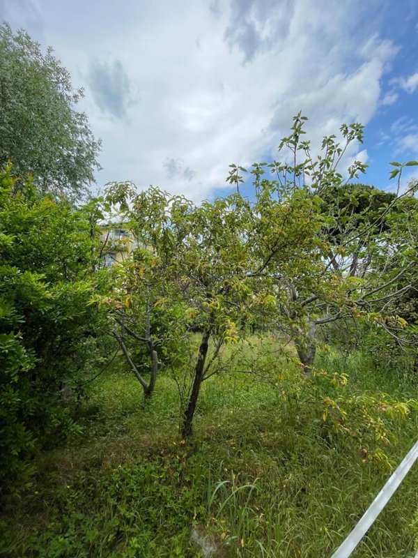terreno agricolo in vendita a Lucca in zona Sant'Anna