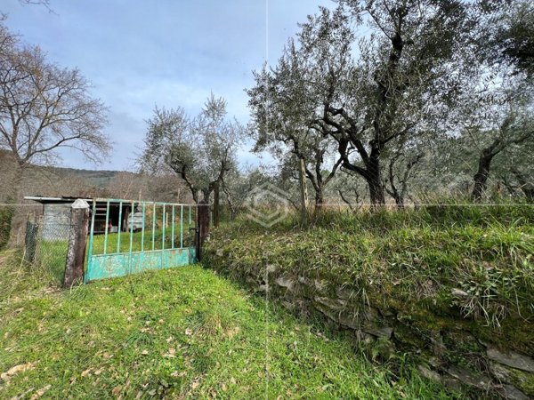 casa indipendente in vendita a Lucca in zona Balbano