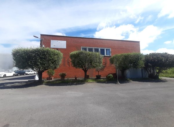 capannone in vendita a Lucca in zona zona San Filippo