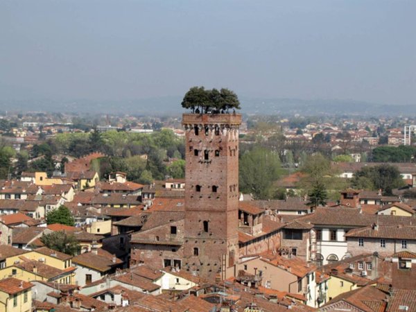 negozio in vendita a Lucca in zona zona Arancio