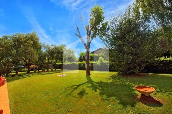 casa indipendente in vendita a Lucca in zona Pontetetto
