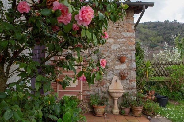 casa indipendente in vendita a Lucca in zona Chiatri
