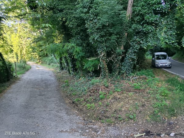terreno agricolo in vendita a Lucca in zona Maggiano