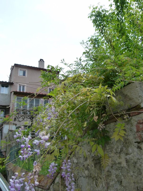 casa indipendente in vendita a Lucca in zona Nave