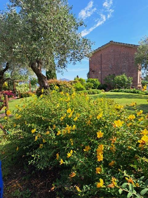 casa indipendente in vendita a Lucca in zona Carignano