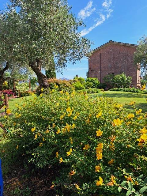 casa indipendente in vendita a Lucca in zona Carignano