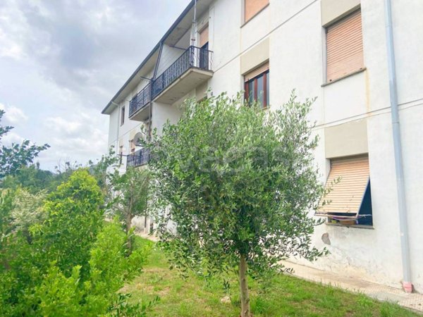 appartamento in vendita a Lucca in zona San Lorenzo a Vaccoli