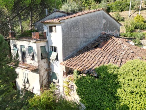 azienda agricola in vendita a Lucca in zona Mammoli