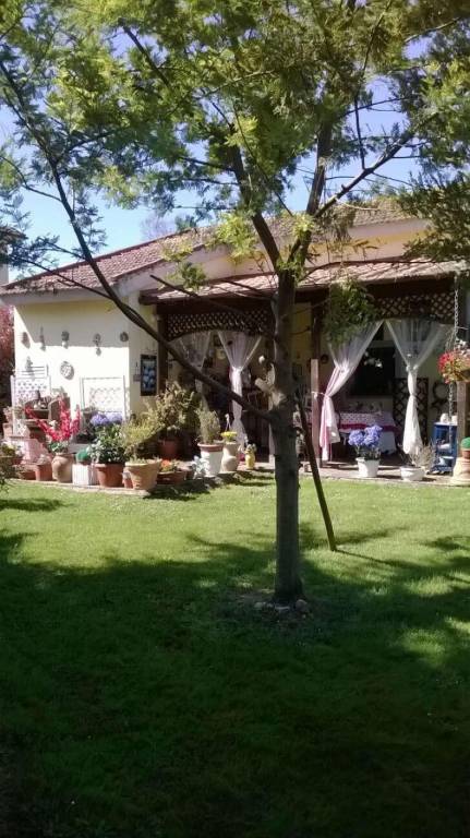 casa indipendente in vendita a Lucca in zona Ponte San Pietro